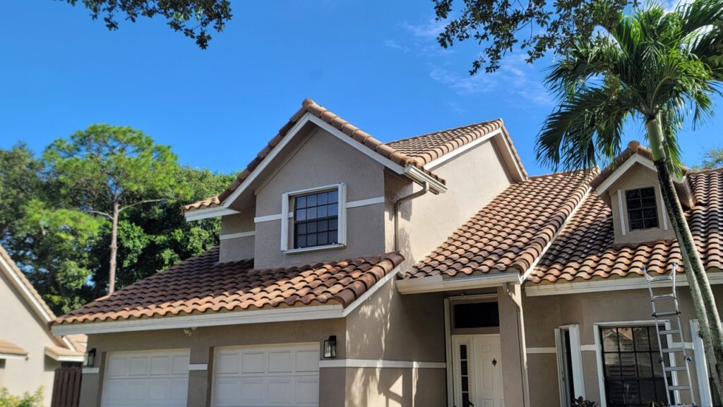 House painting and wall restoration services in Miramar