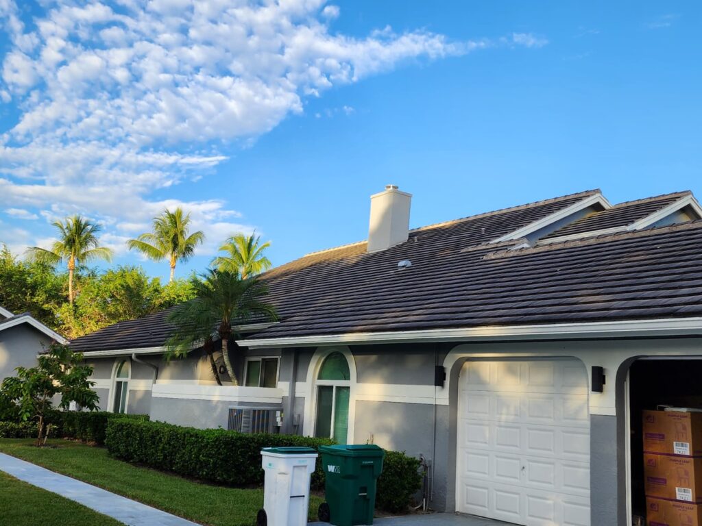 Excelsior Power Cleaning – professional paint services in Wilton Manors FL