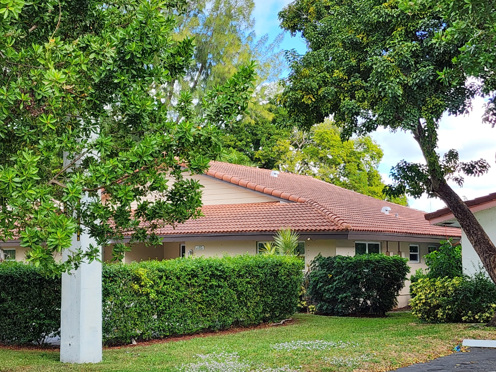 Roof after professional cleaning in Harbor Beach, FL with mold and algae fully removed