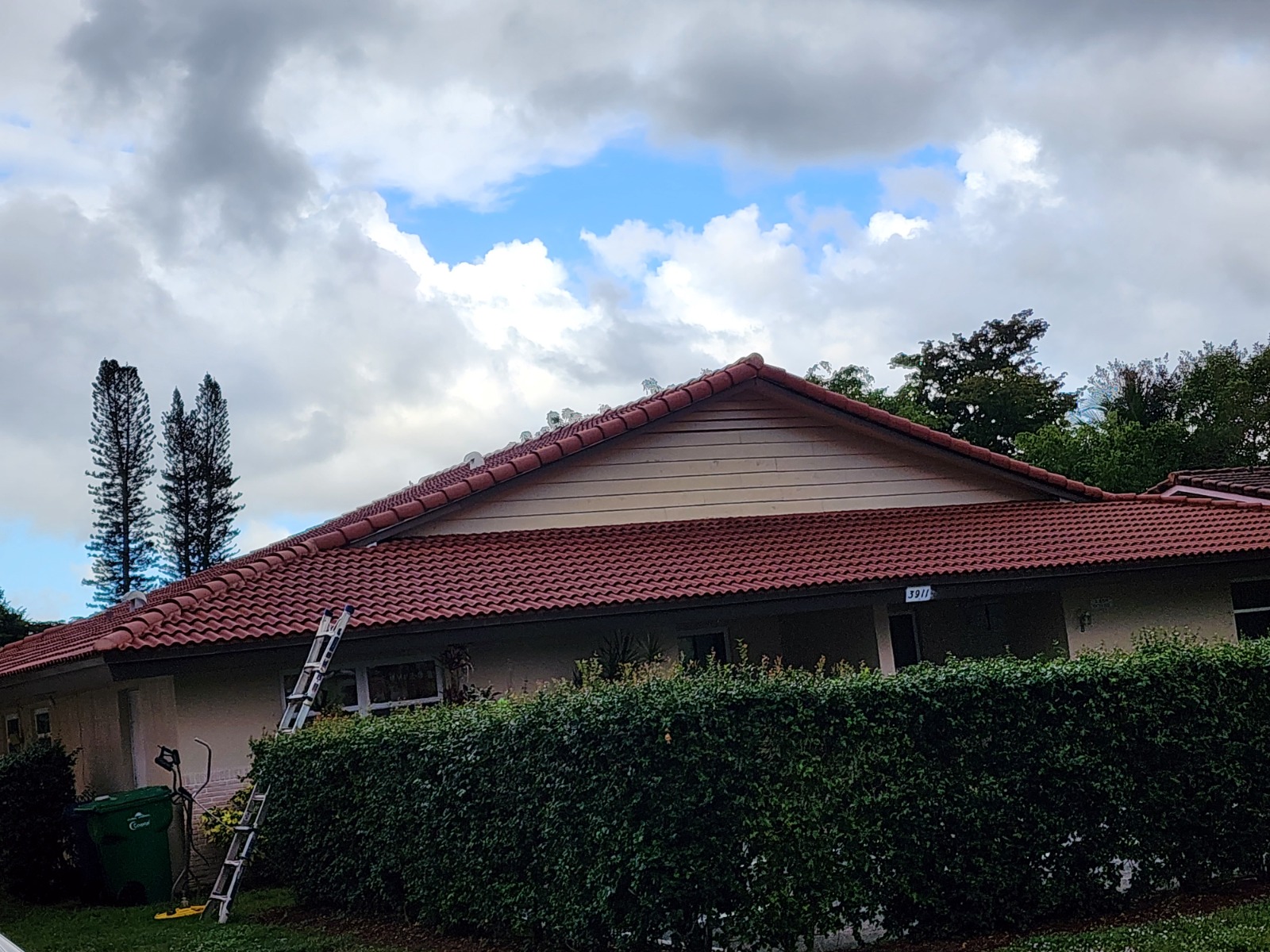 Roof before cleaning at Weston Hills Country Club showing heavy mold and algae buildup