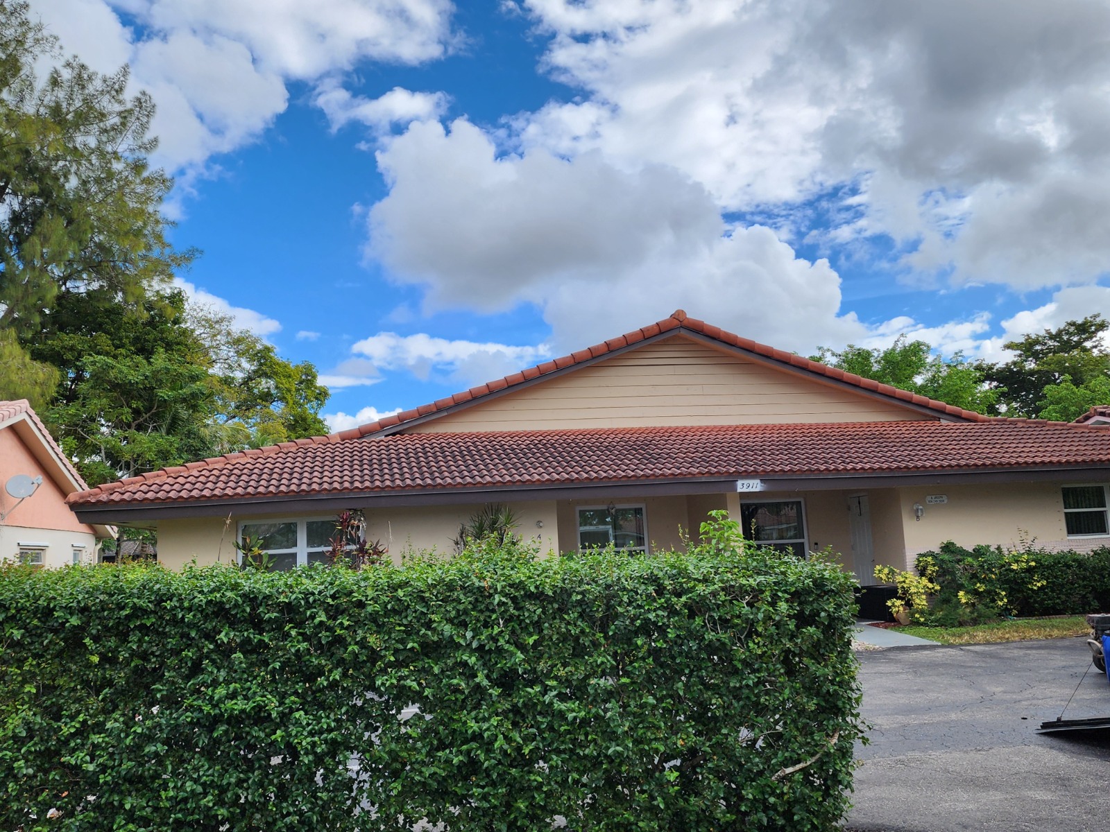 Roof before cleaning in Harbor Beach, FL showing heavy mold and algae buildup