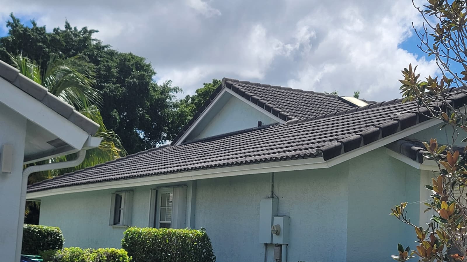 Roof in Coral Ridge Isles before pressure cleaning, showing mold, algae, and dark streak buildup