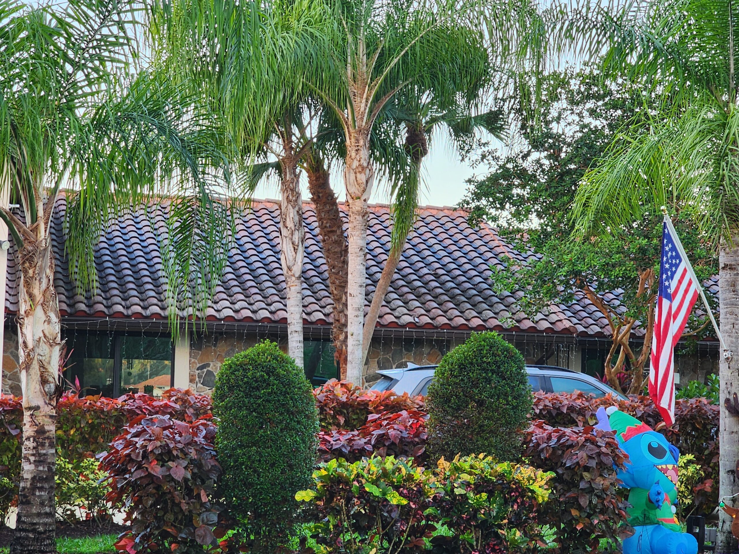 Roof before cleaning in Las Olas Isles, showing dark streaks, mold, and algae buildup on roof tiles