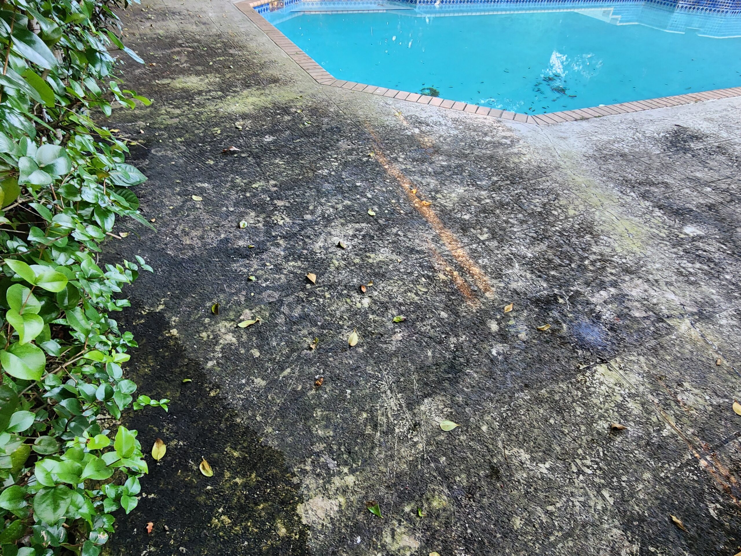 Heavily stained and mold covered pool deck before cleaning at The Bear’s Club