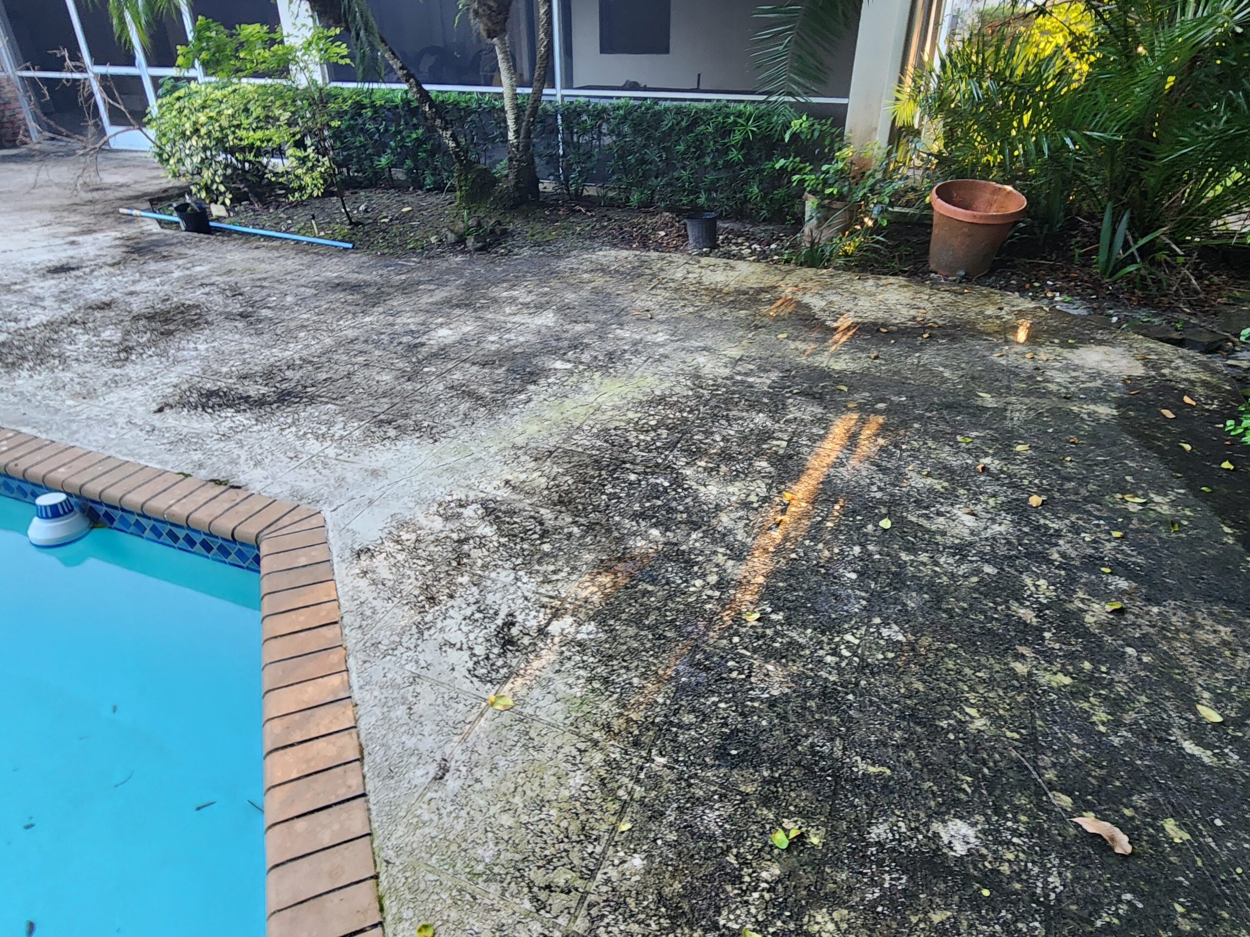Photo before cleaning on the pool deck, showing heavy mold, algae, and stain buildup