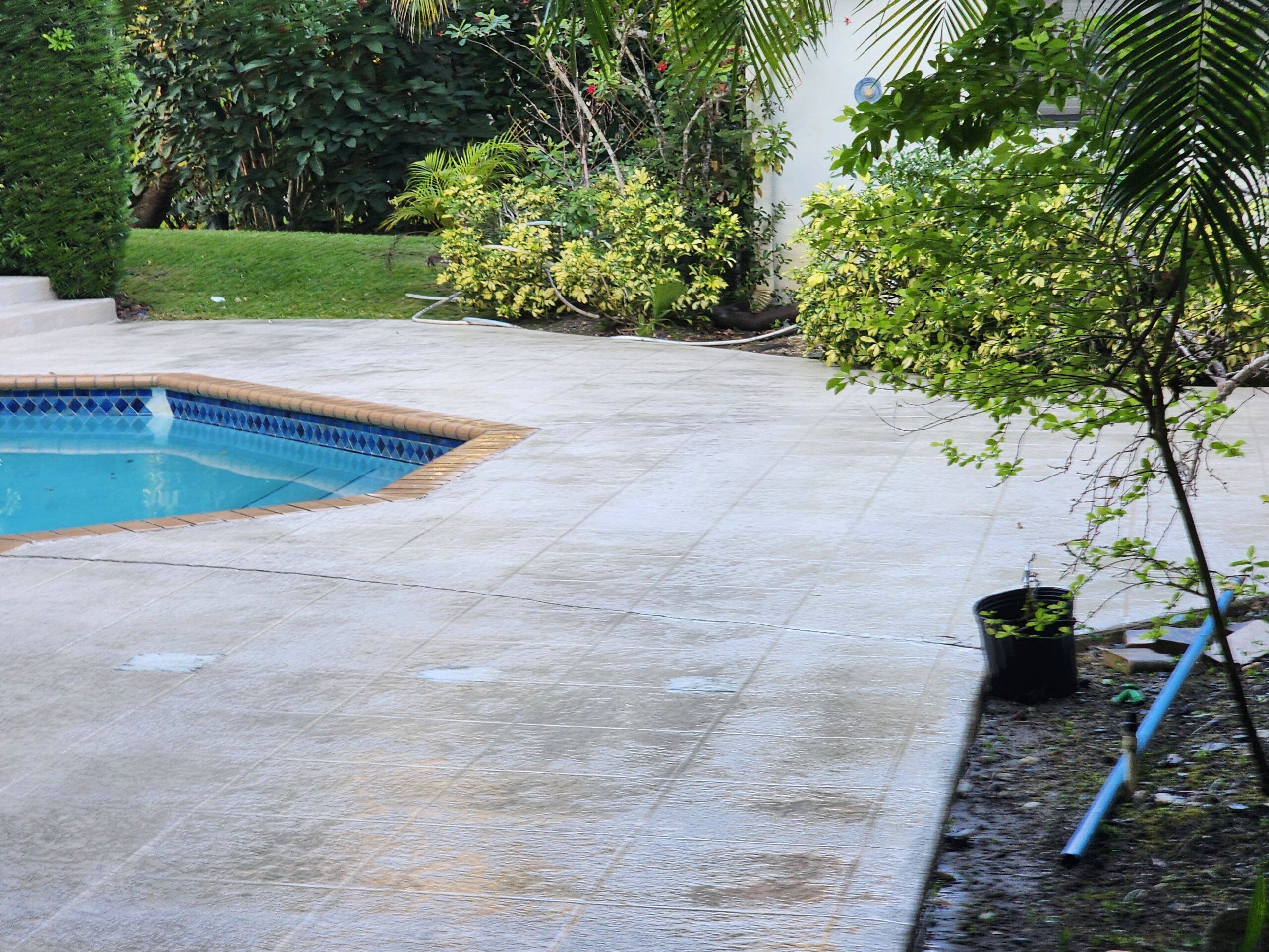 Photo after cleaning on the pool deck, showing all mold, algae, and stains completely removed