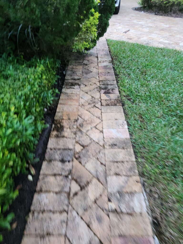Walkway before cleaning, showing heavy mold, algae, and moss buildup