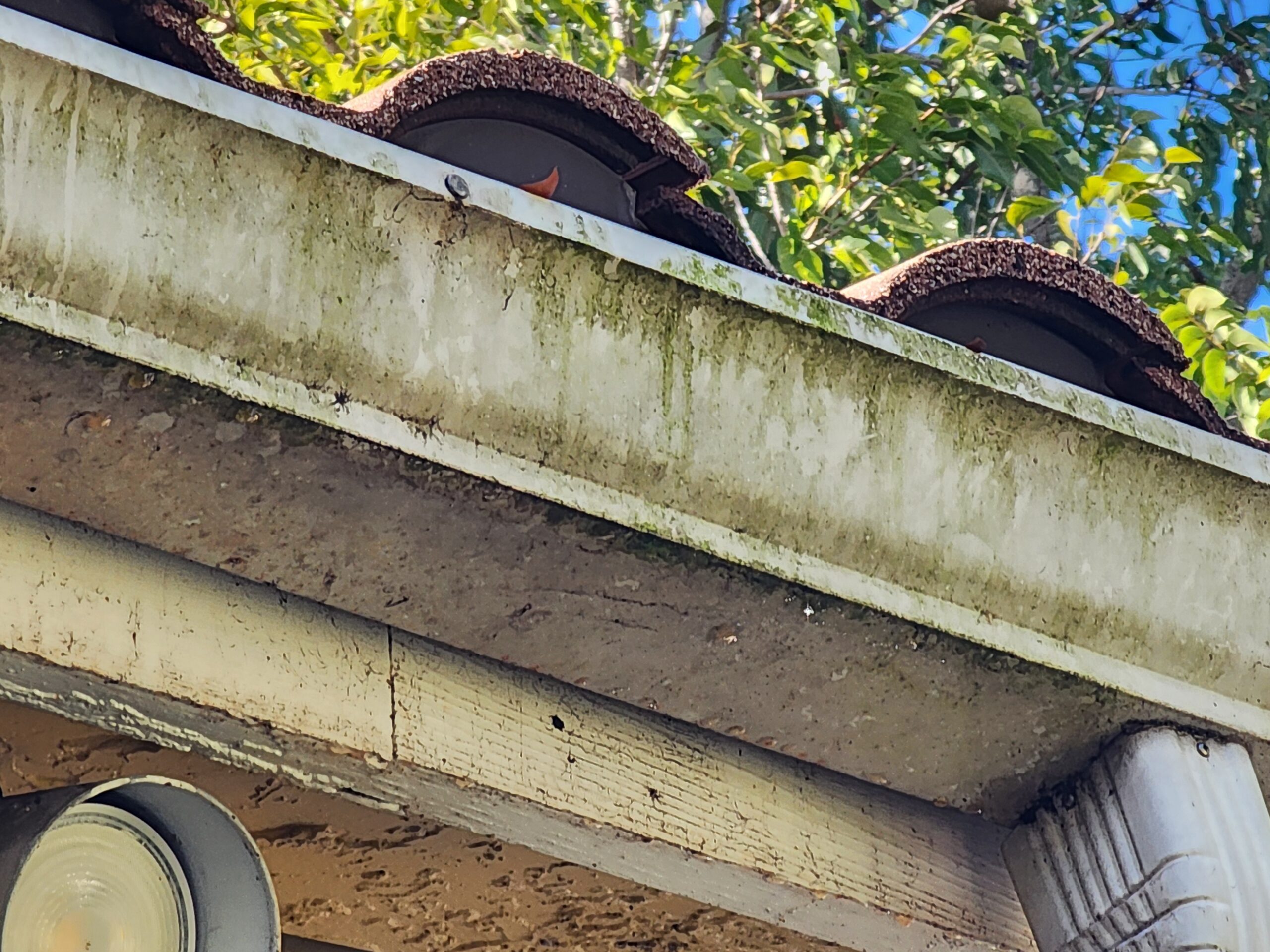 Rain gutters heavily stained and covered with mold and algae buildup before professional cleaning in BallenIsles