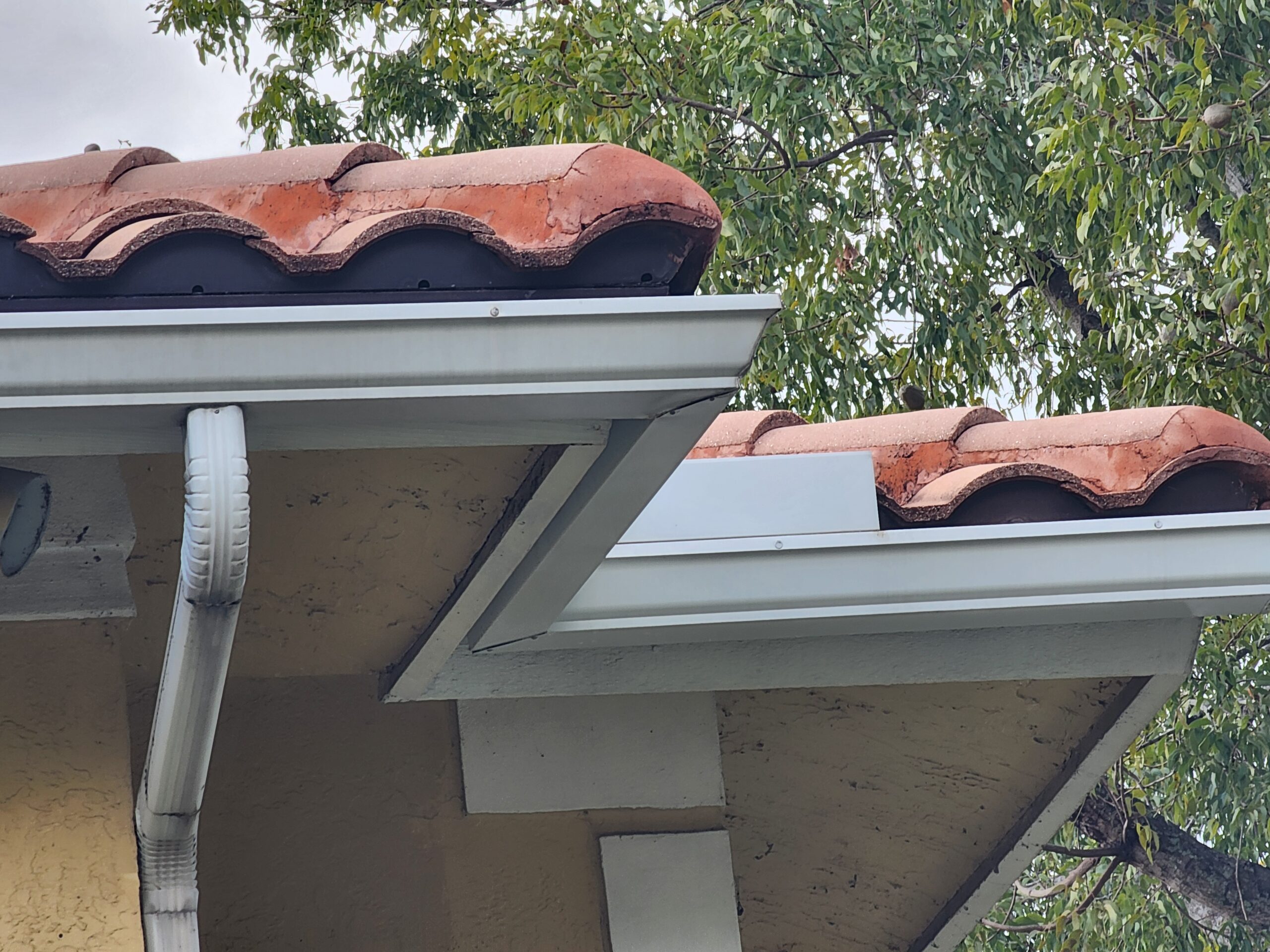 Rain gutters fully cleaned after heavy stain, mold, and algae removal in BallenIsles, restoring a fresh and well maintained appearance