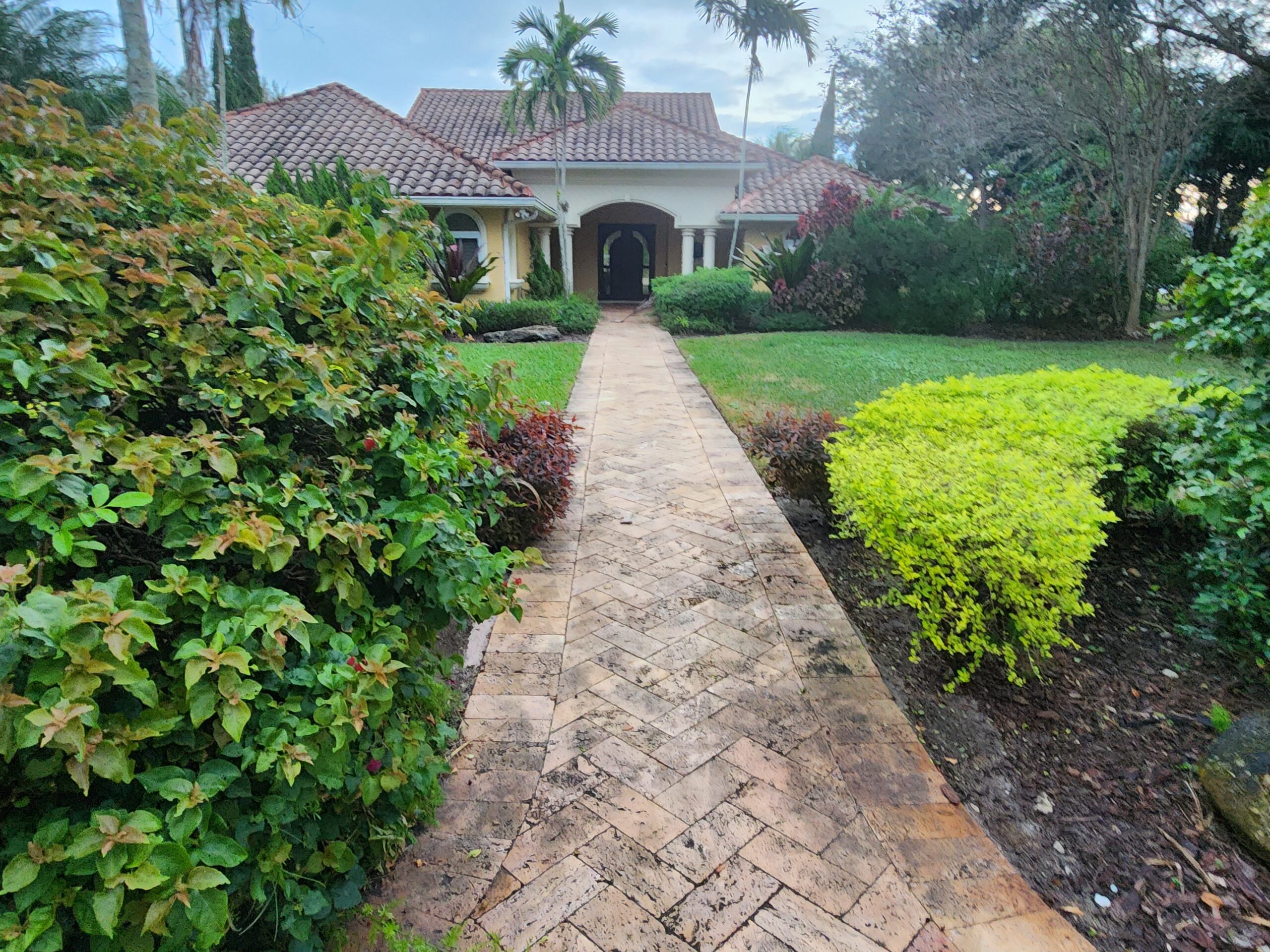 Walkway and roof surfaces heavily stained and covered with mold, algae, and dirt before professional pressure cleaning in Old Palm Golf Club