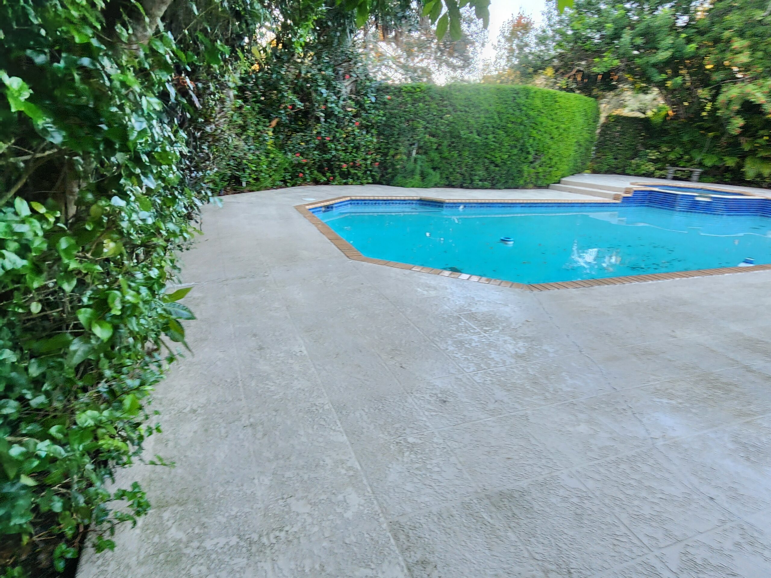 Pool deck surface fully cleaned and restored after professional pressure cleaning, with stains, mold, and algae removed