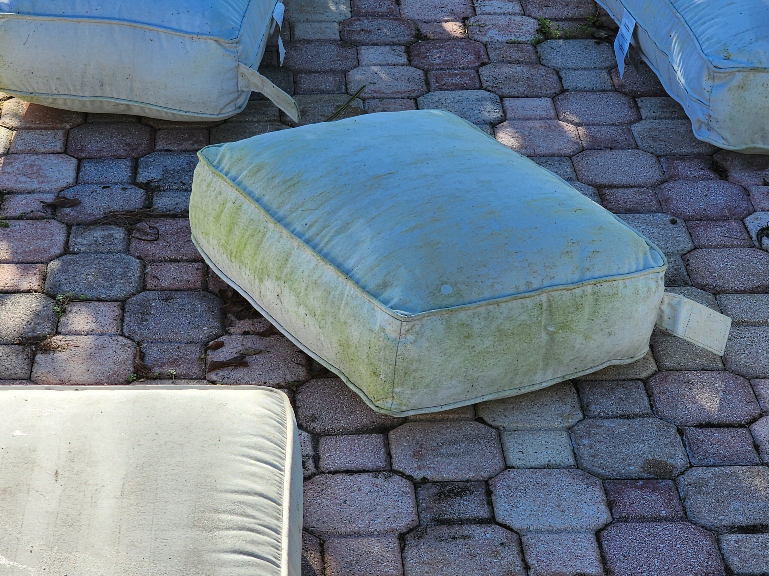 Outdoor furniture cushions before restoration in Watercrest, showing heavy mold growth and deep stains