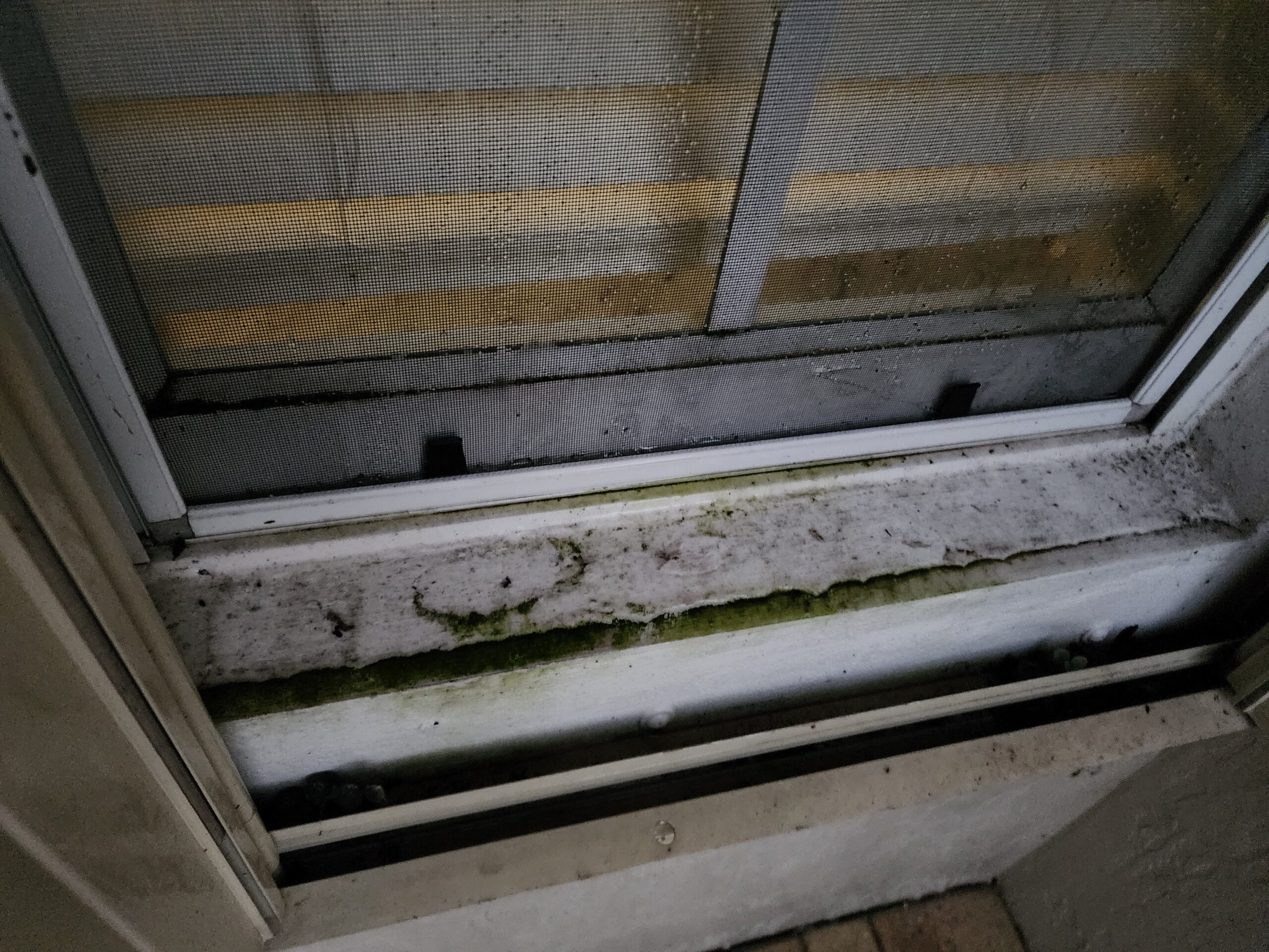 Before: Window power washing in Boca Raton with visible dirt, salt residue, and streak buildup before professional cleaning.